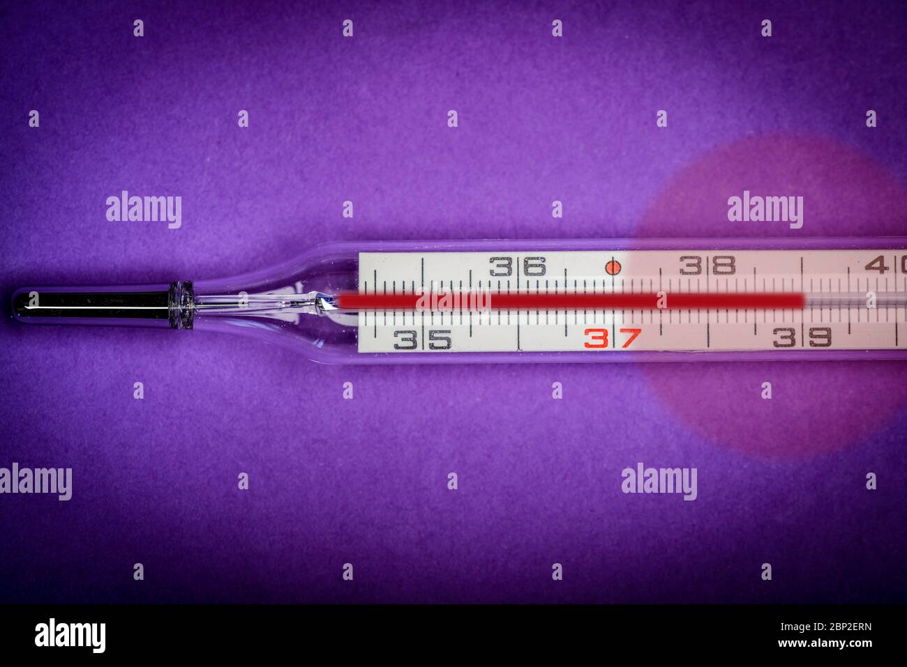 Clinical mercury thermometer Stock Photo Alamy