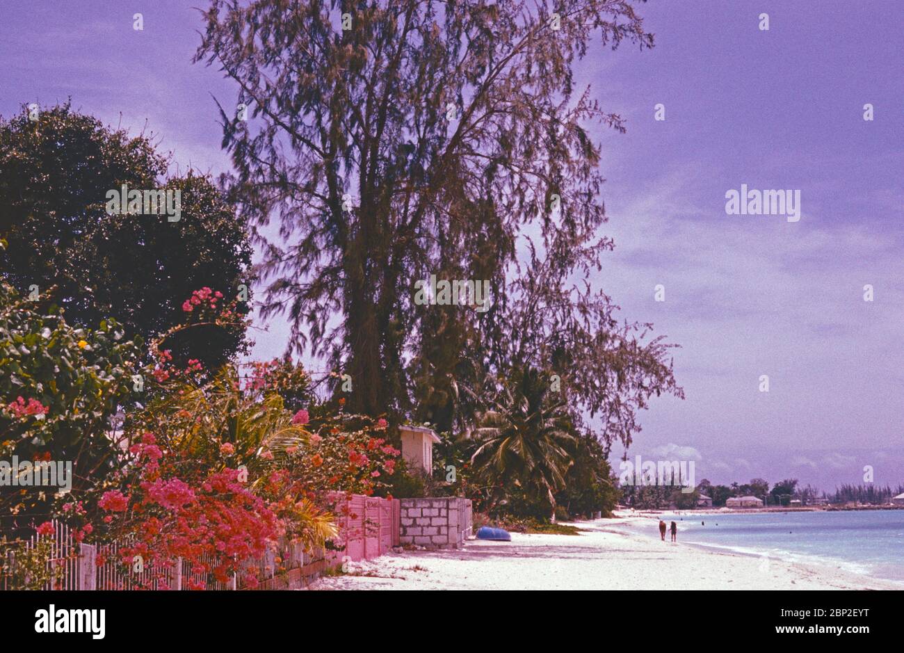 beach, April 02, 1982, Barbados, the Caribbean Stock Photo