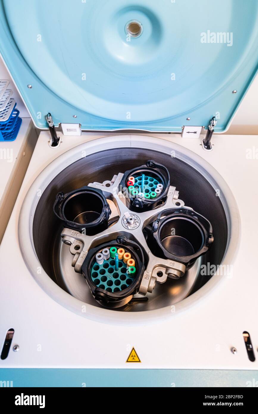 Covid 19 serological tests, centrifugation of blood tubes, medical