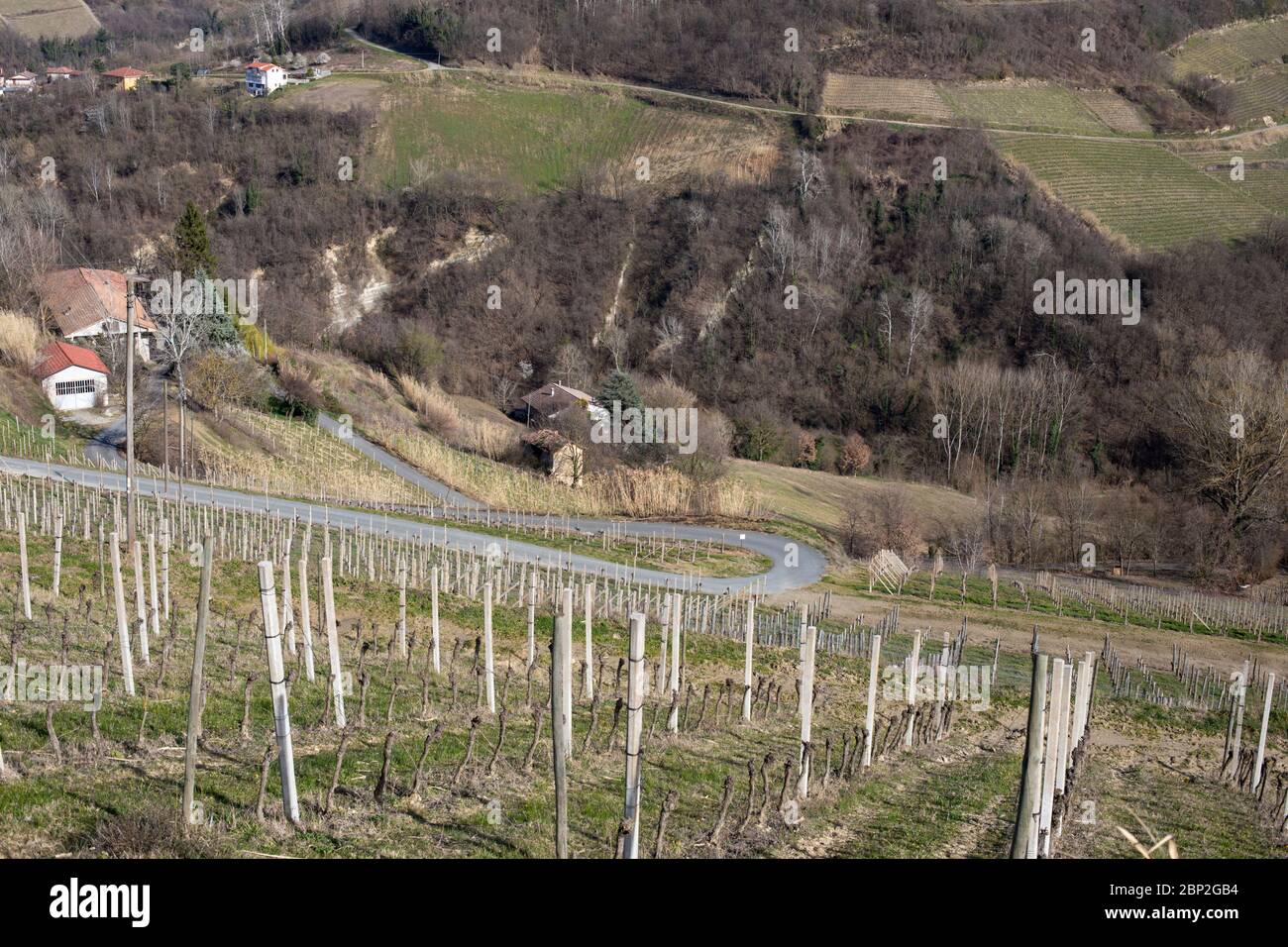Italy panorama of Piedmont vineyards: Langhe hills near Cassinasco Stock Photo