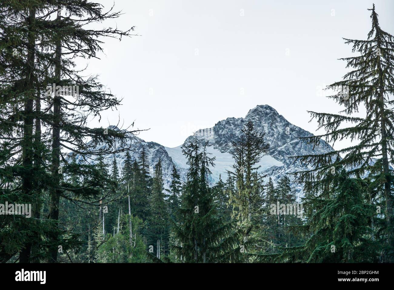 view of mt Shuksan,scenic view in Mt. Baker Snoqualmie National Forest Park,Washington,USA.. Stock Photo