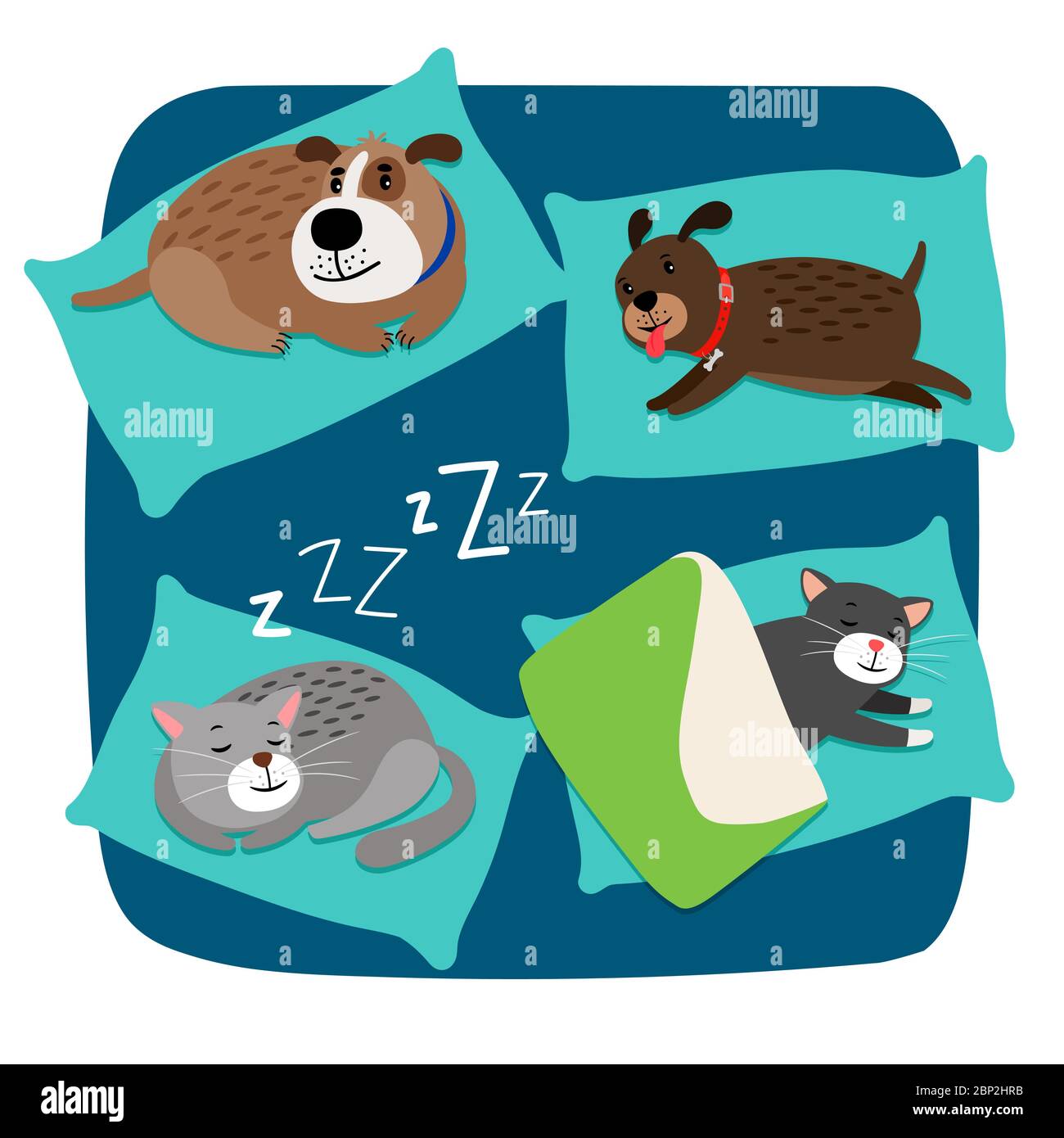 Sleeping dogs and cats on pillows, vector illustration Stock Vector
