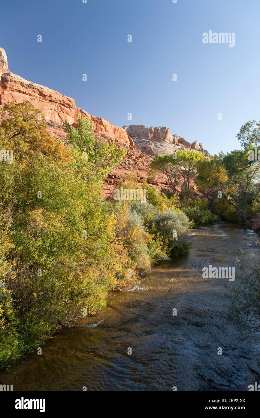 View along Calf Creek in the Escalante Canyons of Garfield County Utah Stock Photo