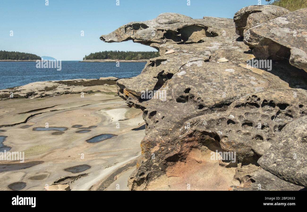 An oddly shaped, rough textured rock formation in BC's Flat Top Islands overlooks a smooth sandstone beach with tide pools, exposed at low tide. Stock Photo