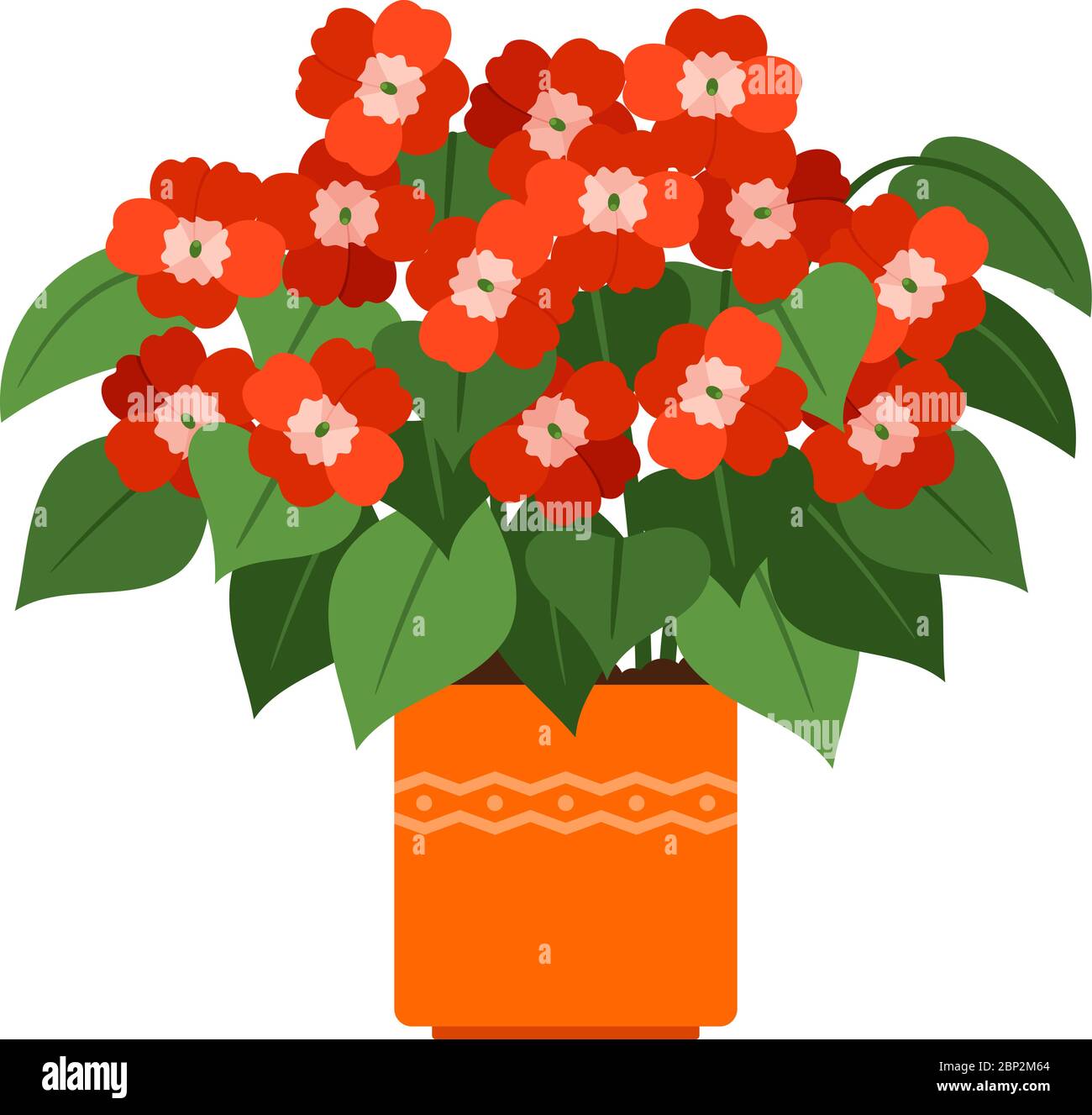 Impatiens house plant in flower pot, vector icon on white background Stock Vector
