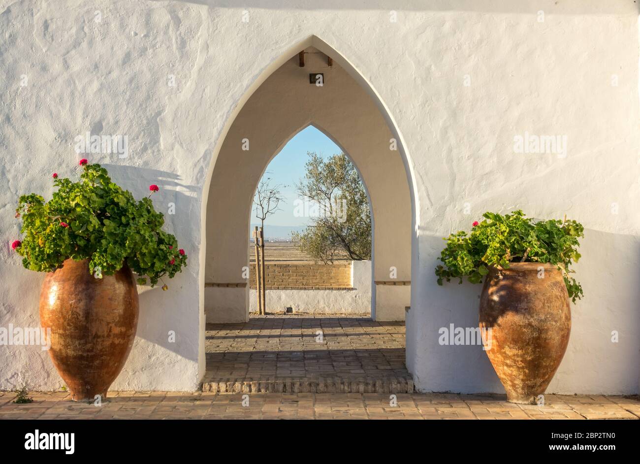 symmetry architecture, exterior door, two planters. Beautifully symmetric and inviting front exterior door Stock Photo