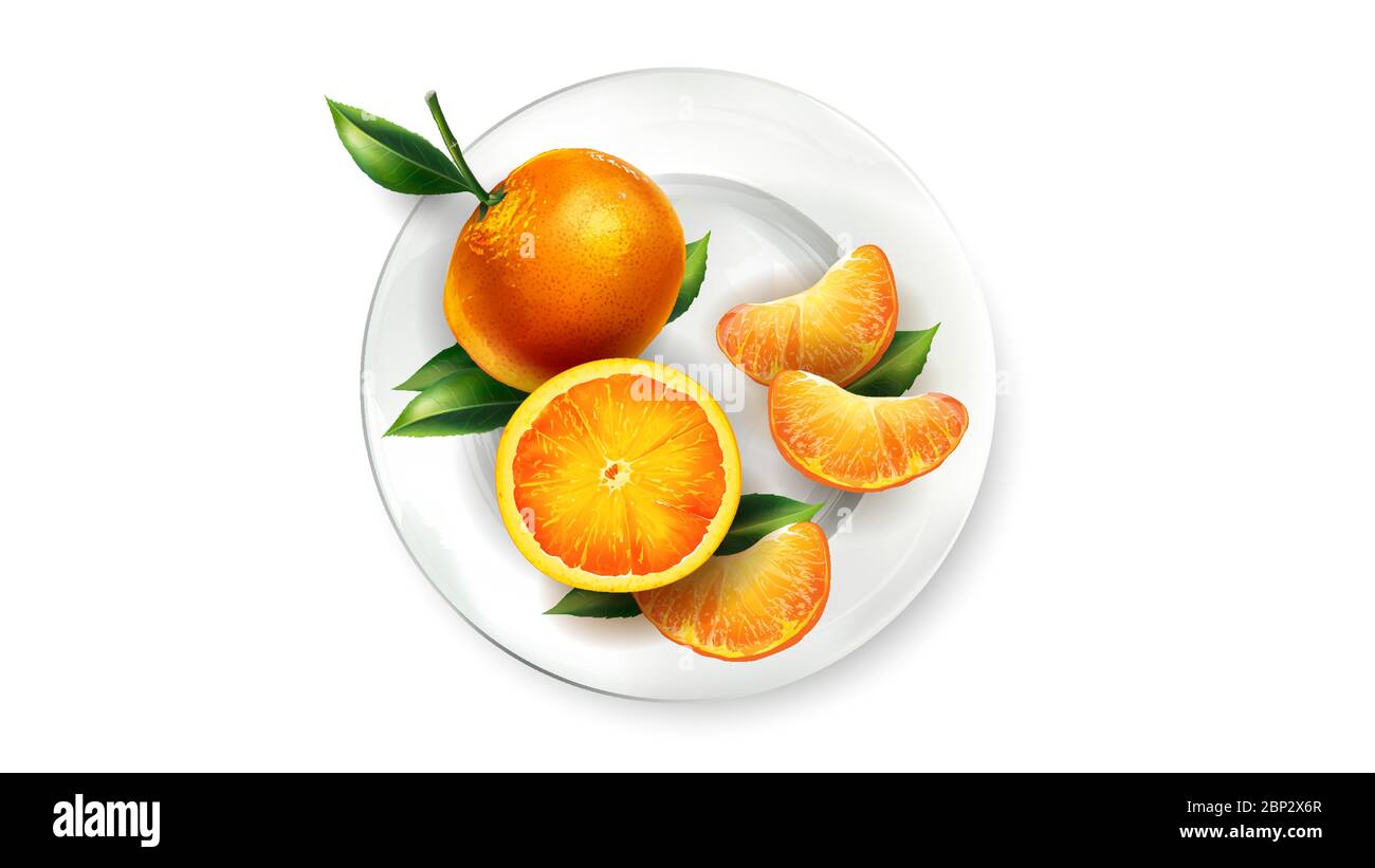 Orange tangerines with leaves on a white plate Stock Vector