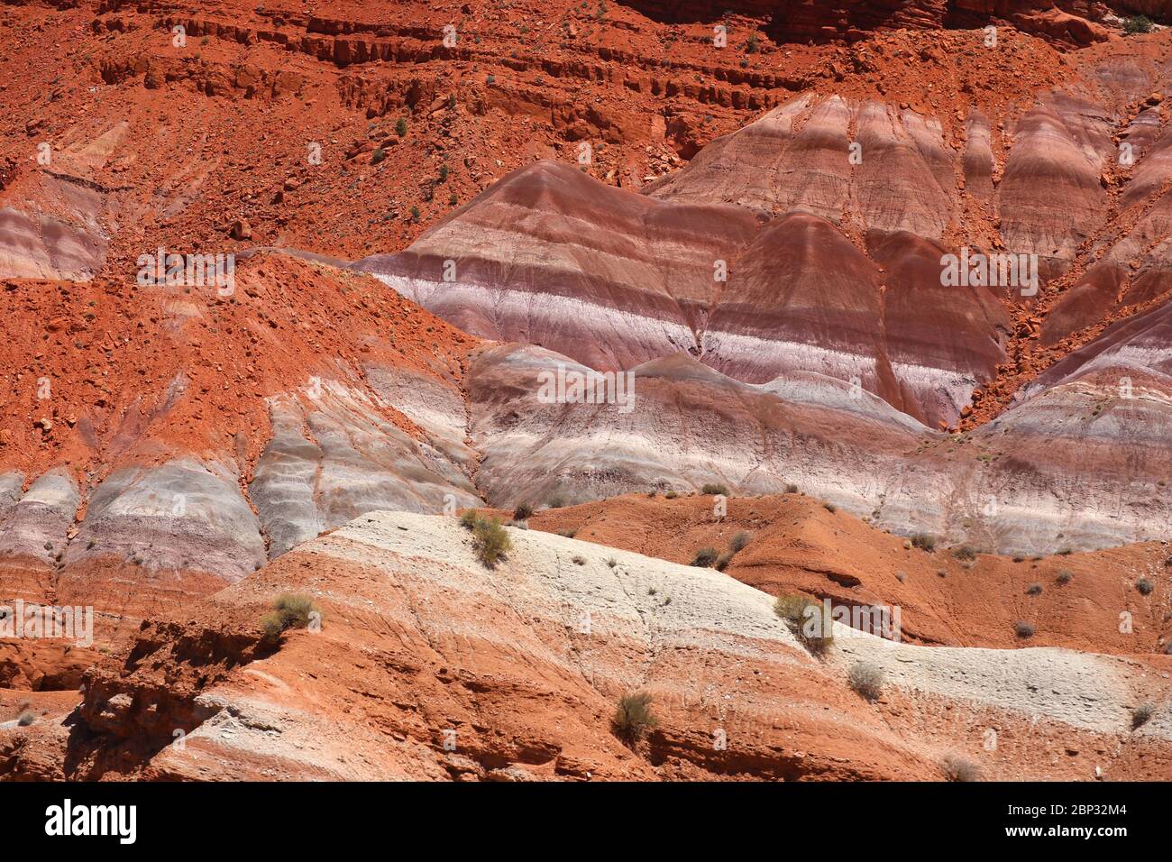 Colorful red colors of the badlands landscape at Paria River Canyon, Utah Stock Photo