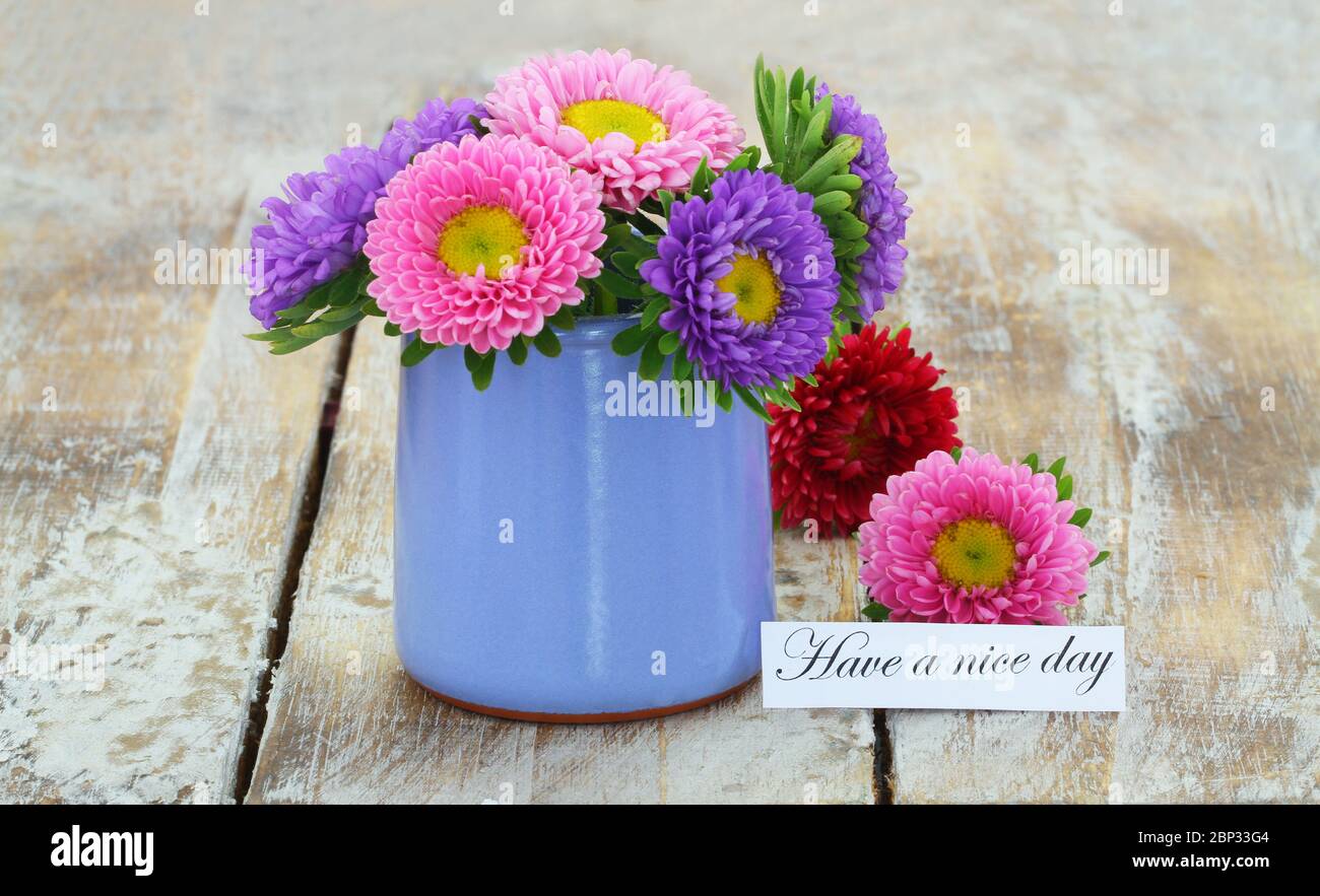 Have a nice day card with colorful daisy flowers in blue pot on rustic wooden surface Stock Photo