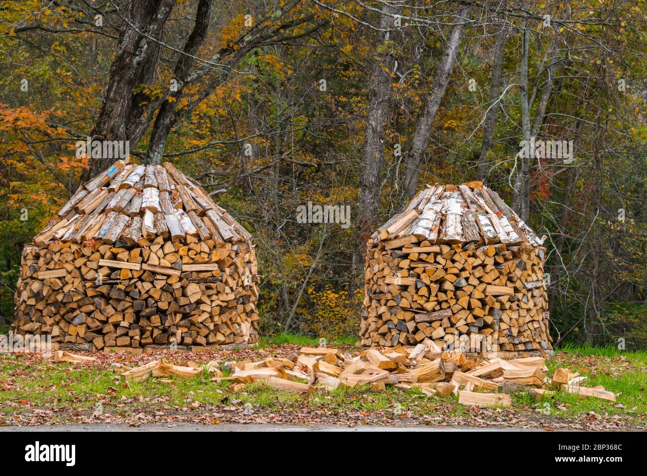 Stacks of Freshly Split Wood, Barnard, Vermont Stock Photo