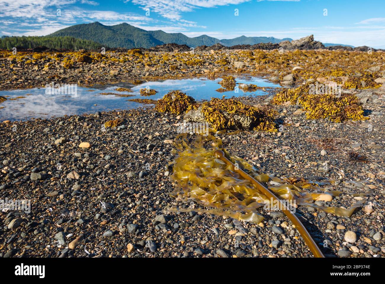 Rennell Sound, Haida Gwaii, British Columbia Stock Photo