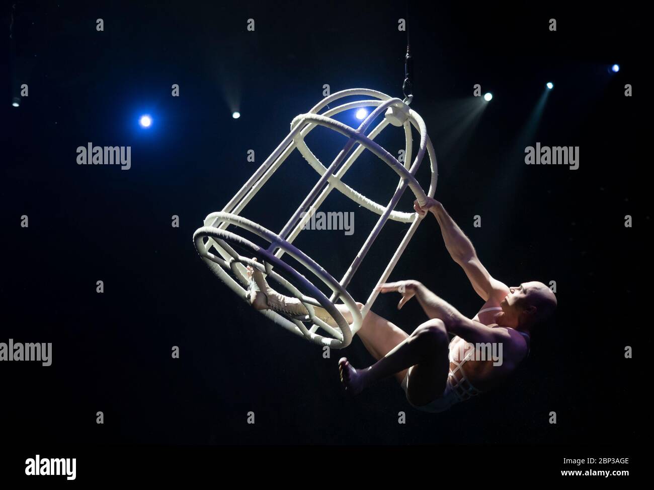 Le ReveThe Dream. A journey into the world of dreams to find true love