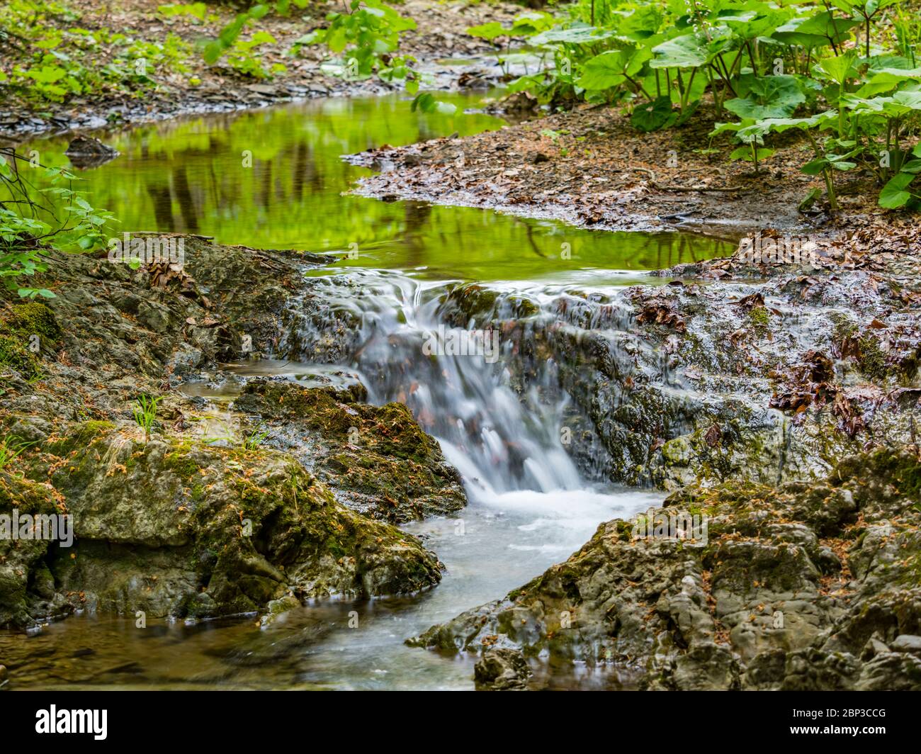 Brook flowing water stunning Spring Green nature color in forest flow captured in long exposure Stock Photo