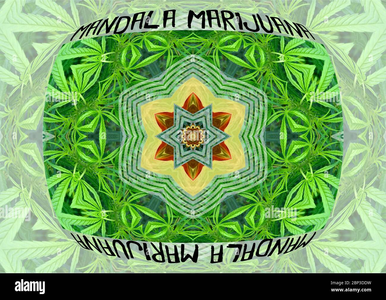 Marijuana Mandala The meaning of the word mandala in Sanskrit is