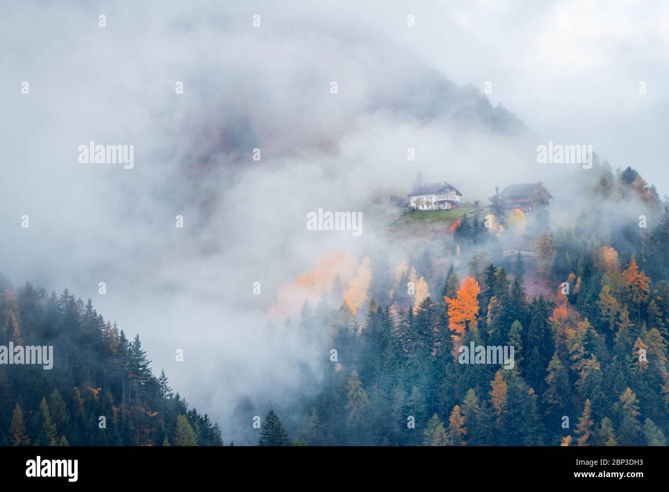 Dolomites natural landcape with Autumn colors in fog in North Italy ...