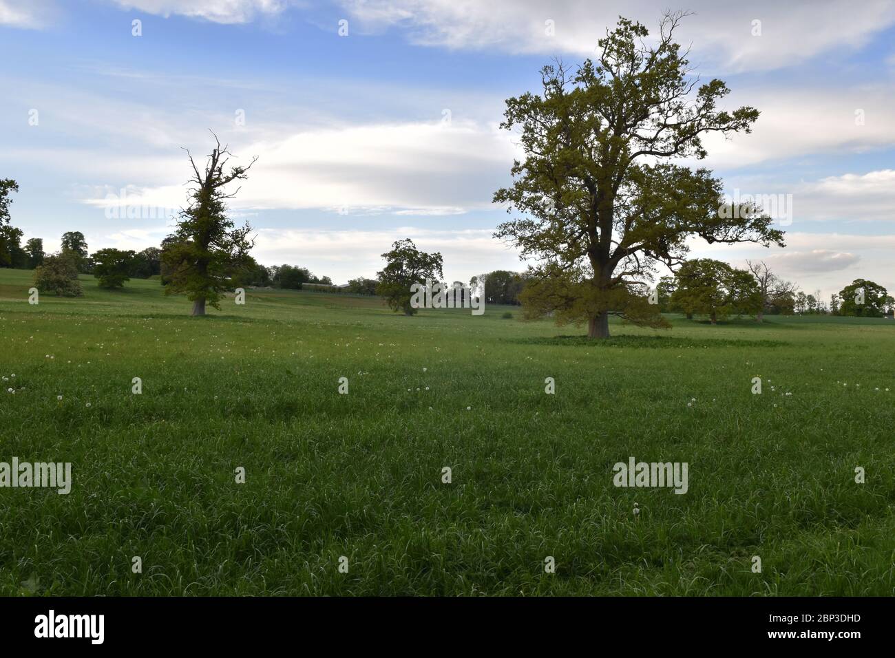 Marston park somerset hires stock photography and images Alamy
