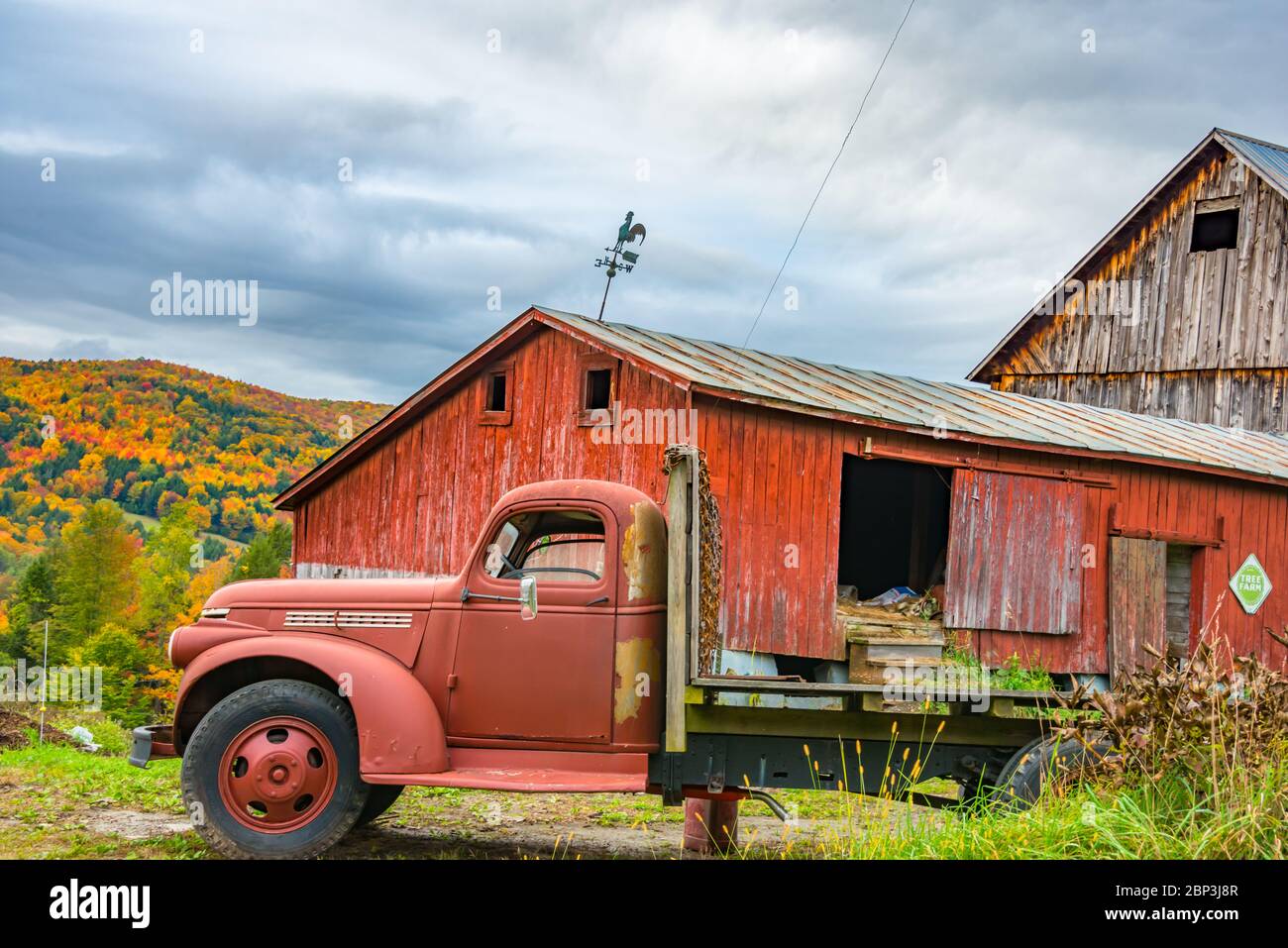 Old Red Truck, Barn, & Fall Foliage on Mountain, Vermont Stock Photo