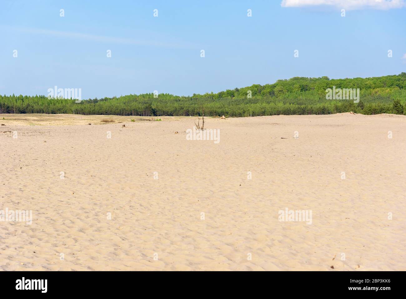 View of Bledow Desert, the biggest sand accumulation away from any sea, located in southern Poland Stock Photo