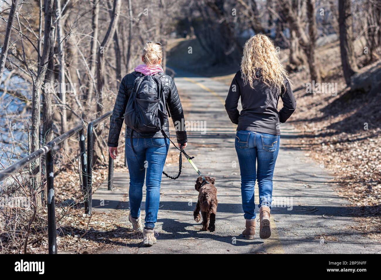 Two blond women friends walking a dog Stock Photo