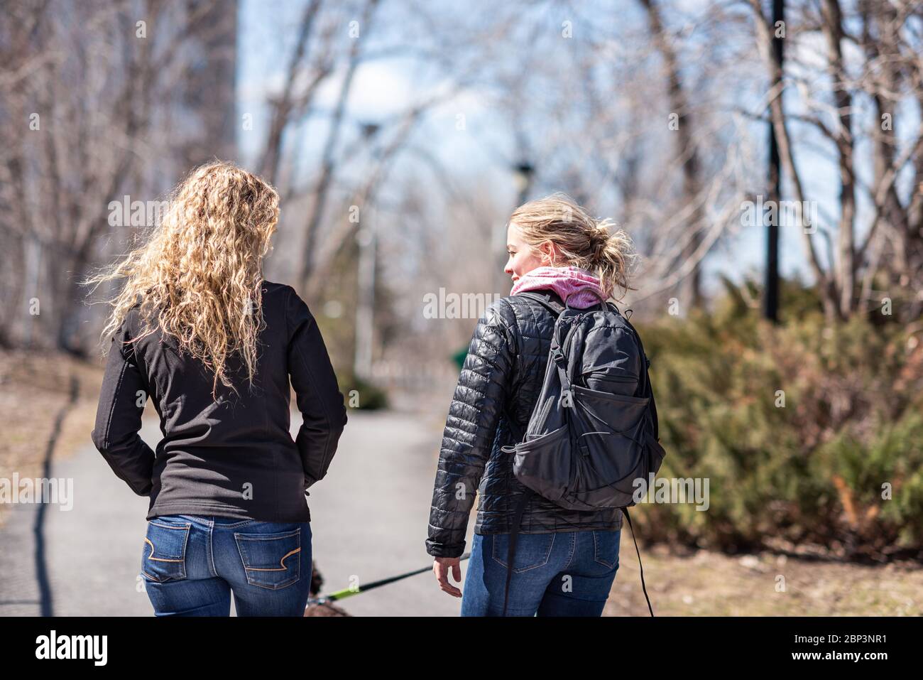 Two blond women friends walking a dog Stock Photo