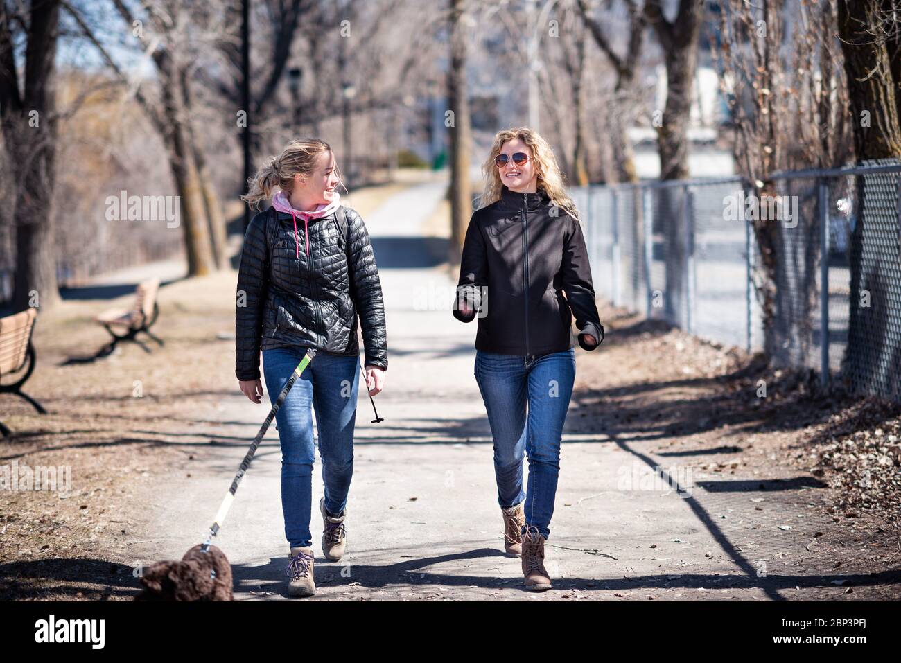 Two blond women friends walking a dog Stock Photo