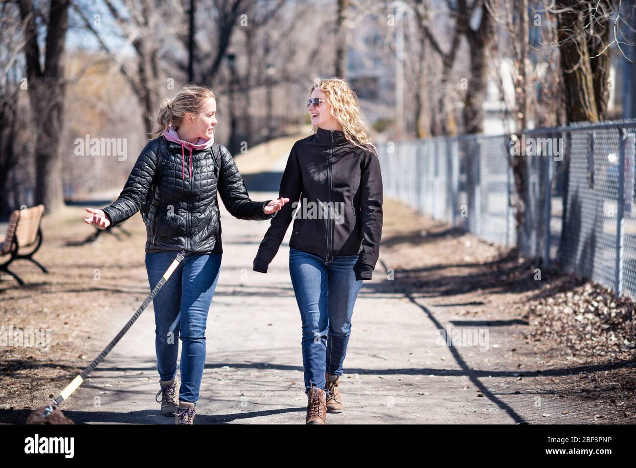 Two blond women friends walking a dog Stock Photo