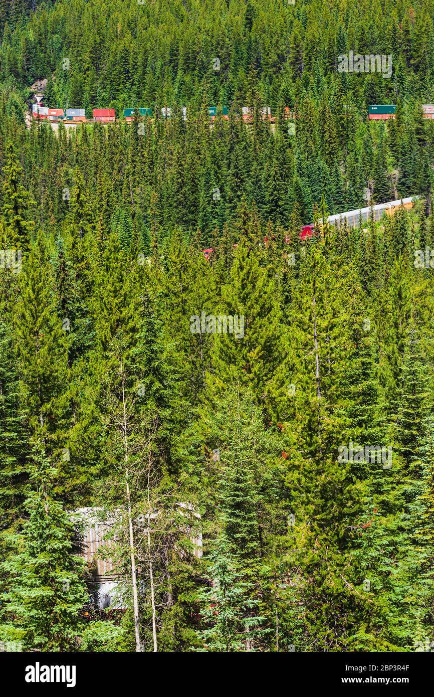 Train at spiral tunnel in british columbia hires stock photography and