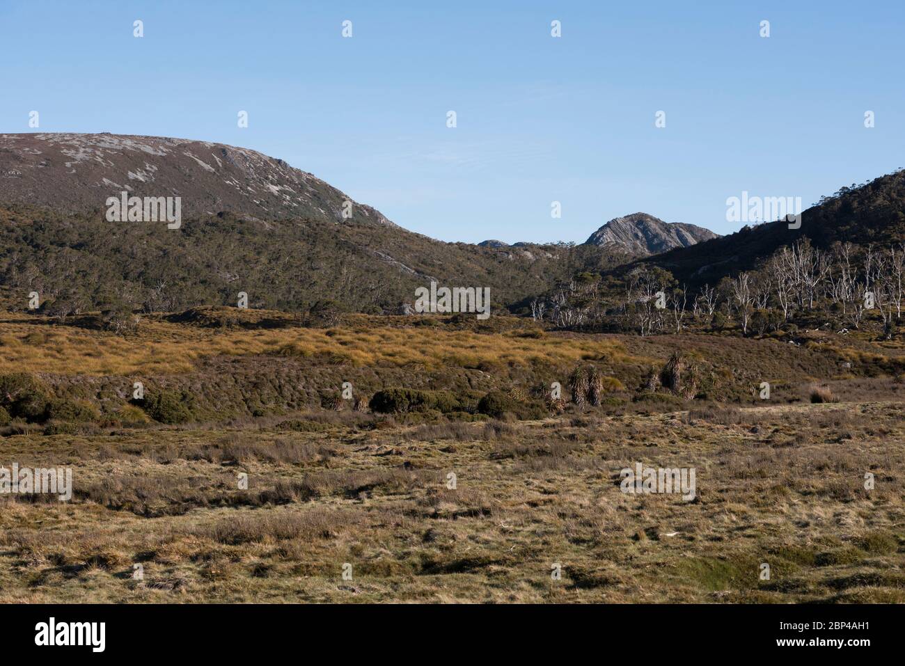 View of Cradle Valley from the Overland Track in Cradle Mountain Lake