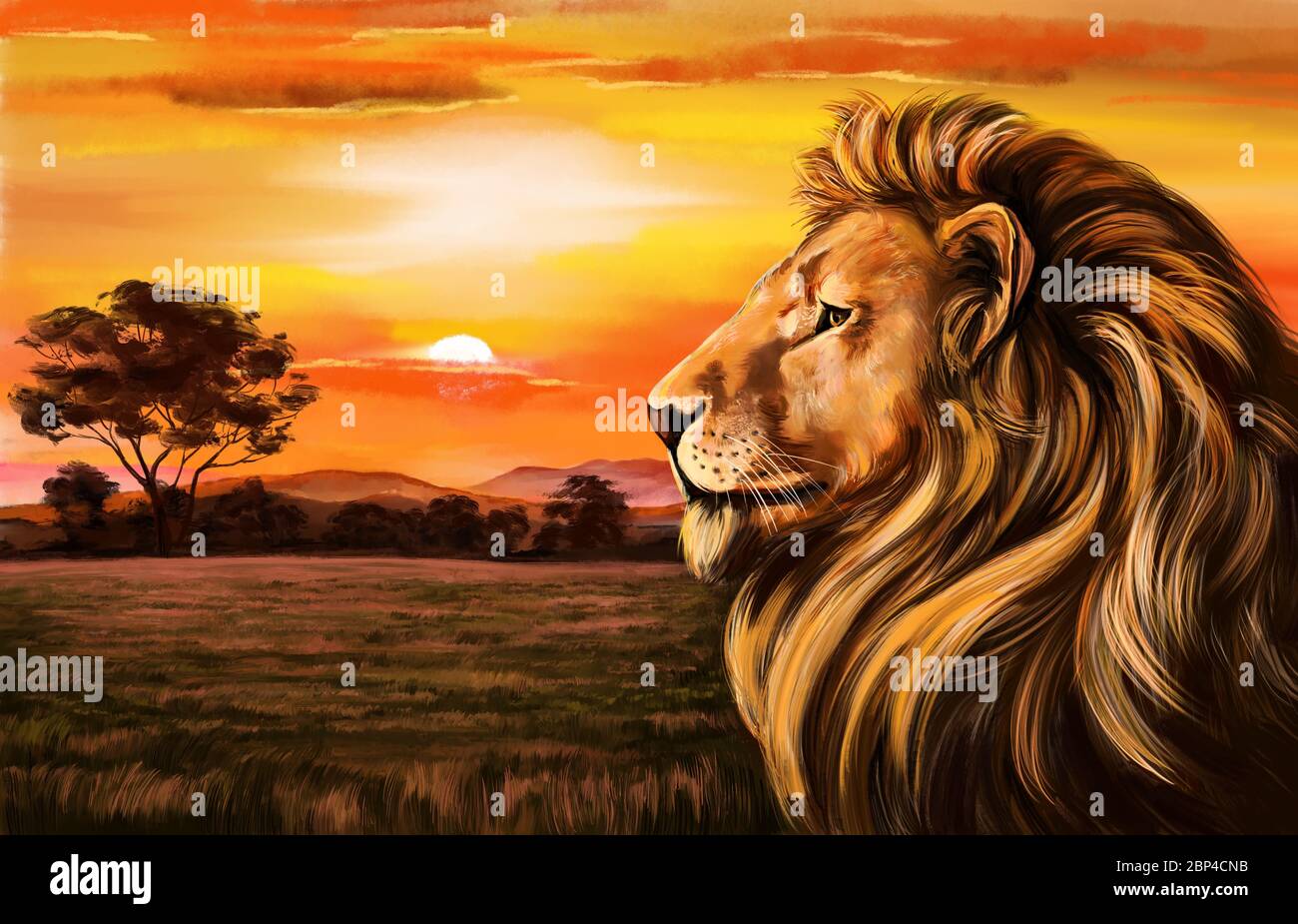 animal lion against the background of dawn, king of beasts, art  illustration painted with watercolors Stock Photo - Alamy