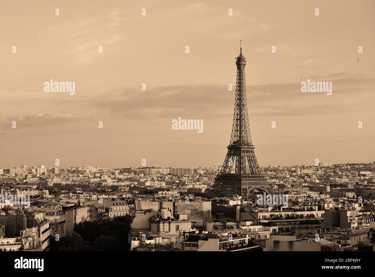 Paris rooftop view skyline and Eiffel Tower in France Stock Photo Alamy