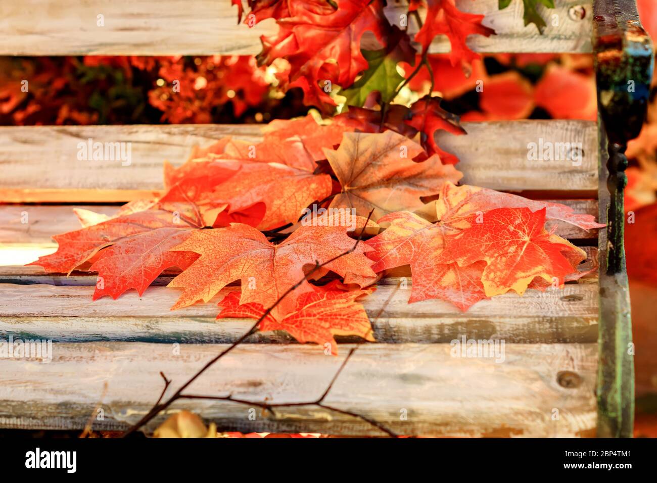 closeup of artificial maple leaves on wooden bench Stock Photo