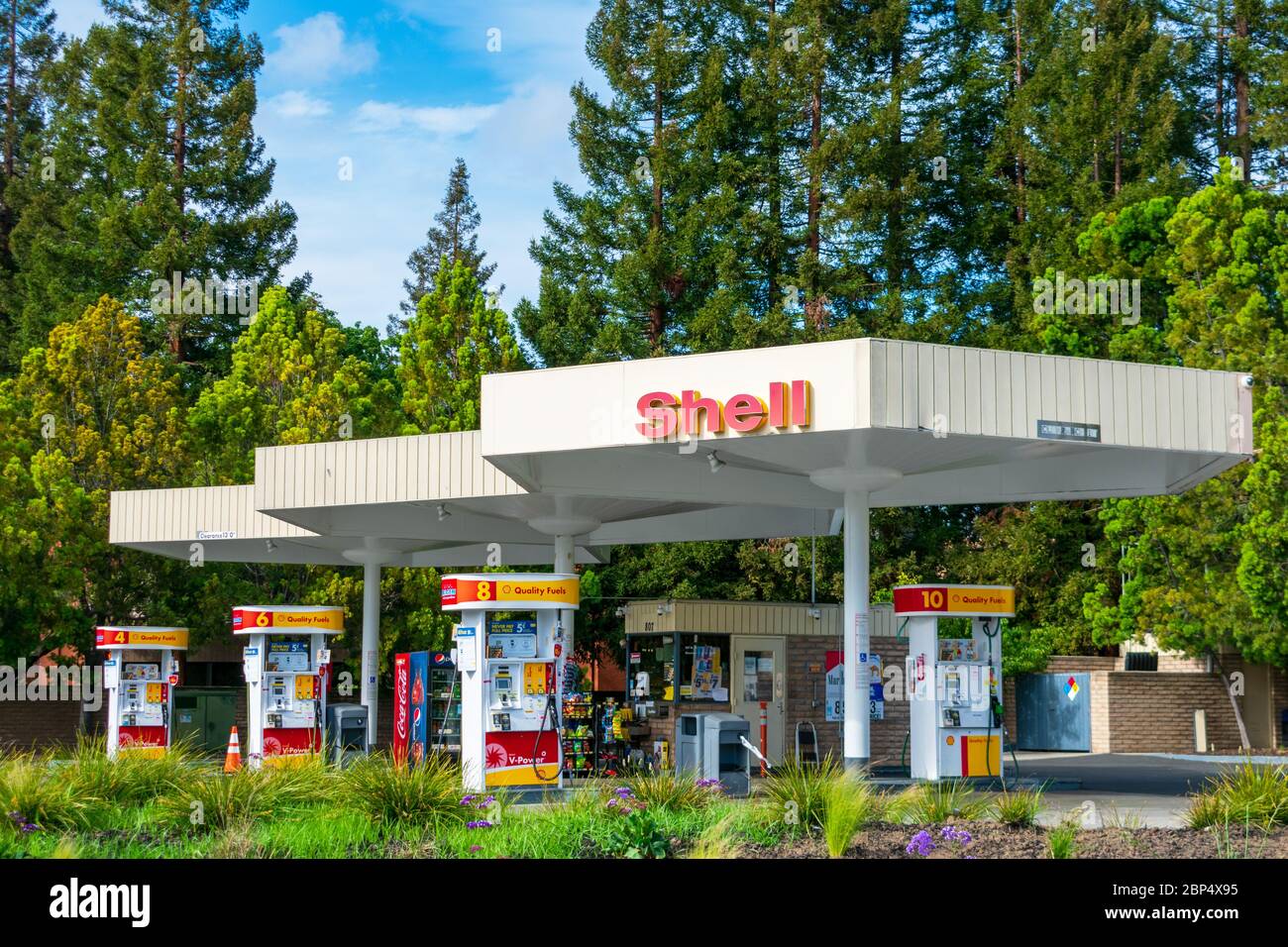 Shell gas station exterior surrounded by beautiful green landscape with
