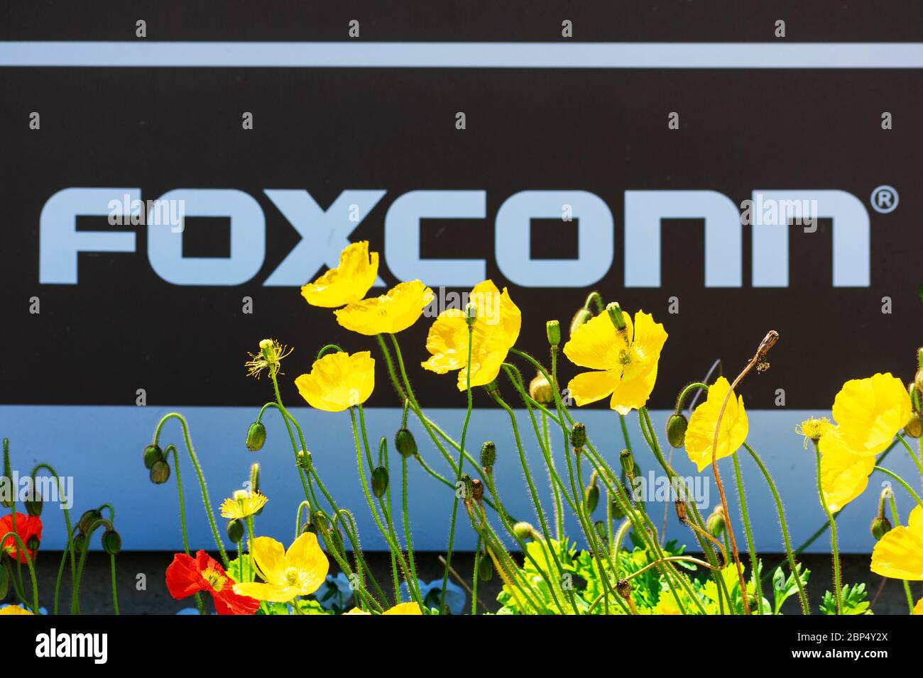 Blurred Foxconn sign in a blooming landscape. Hon Hai Precision Industry Co., Ltd., trading as Foxconn Technology Group, is a Taiwanese electronics co Stock Photo