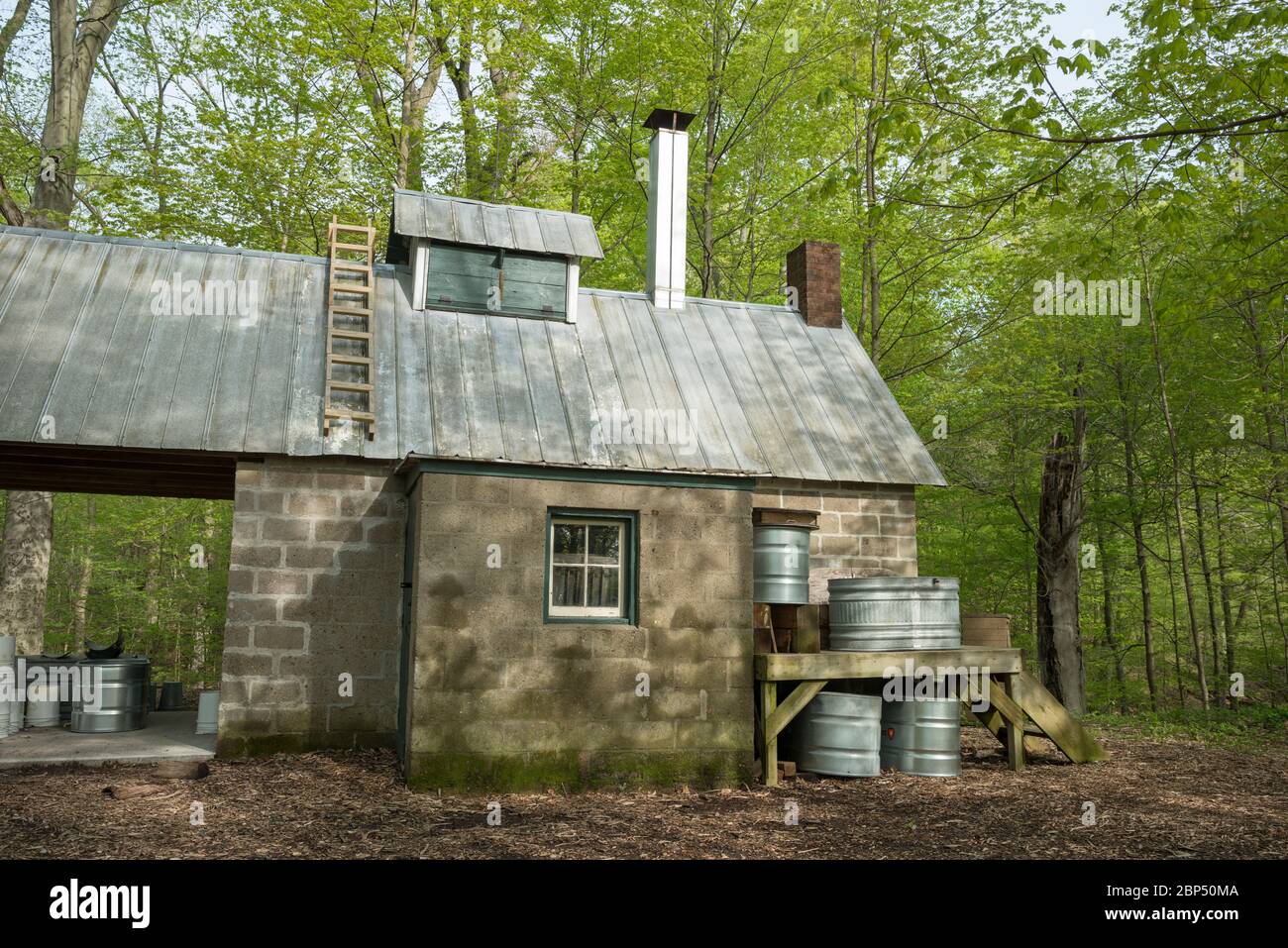 Historic building for making maple syrup at the Chellburg farm in