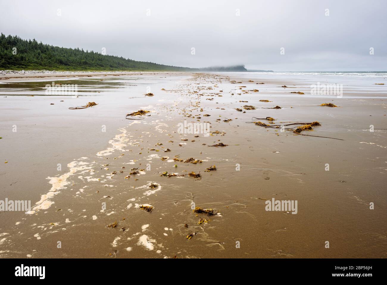 North Beach in Naikoon Provincial Park, Haida Gwaii, British Columbia Stock Photo