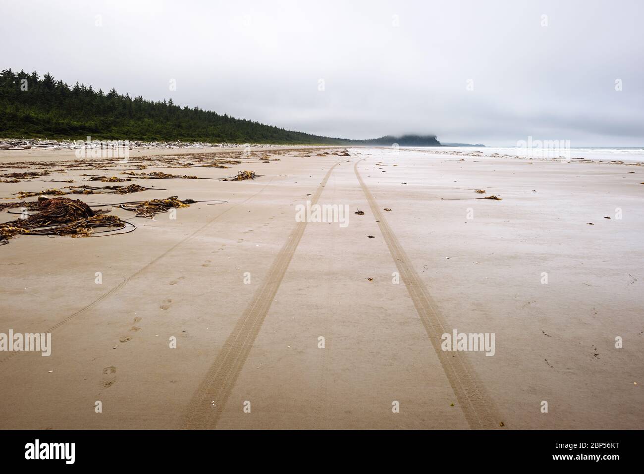 Footprints and tire tracks in the sand in Naikoon Provincial Park, Haida Gwaii, British Columbia Stock Photo
