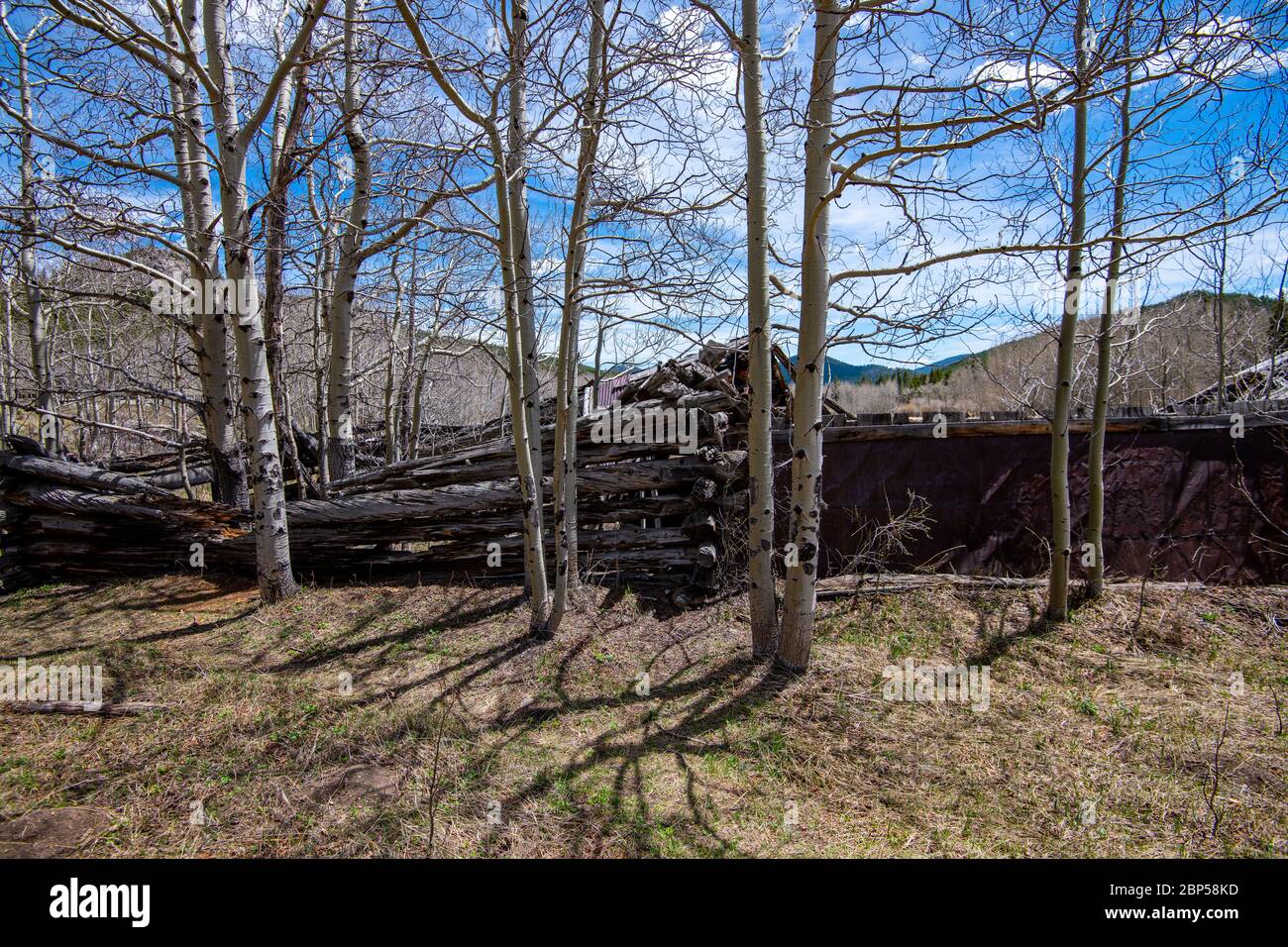 Fraser Cabin in the Meadow in Golden Gate State park Stock Photo