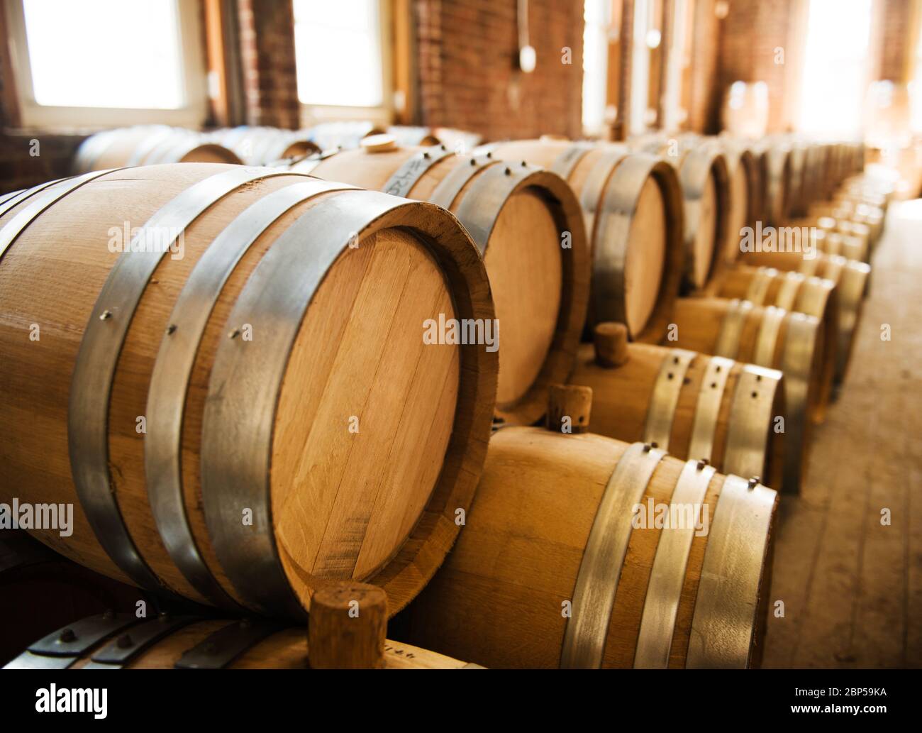 wine barrels in cellar Stock Photo Alamy
