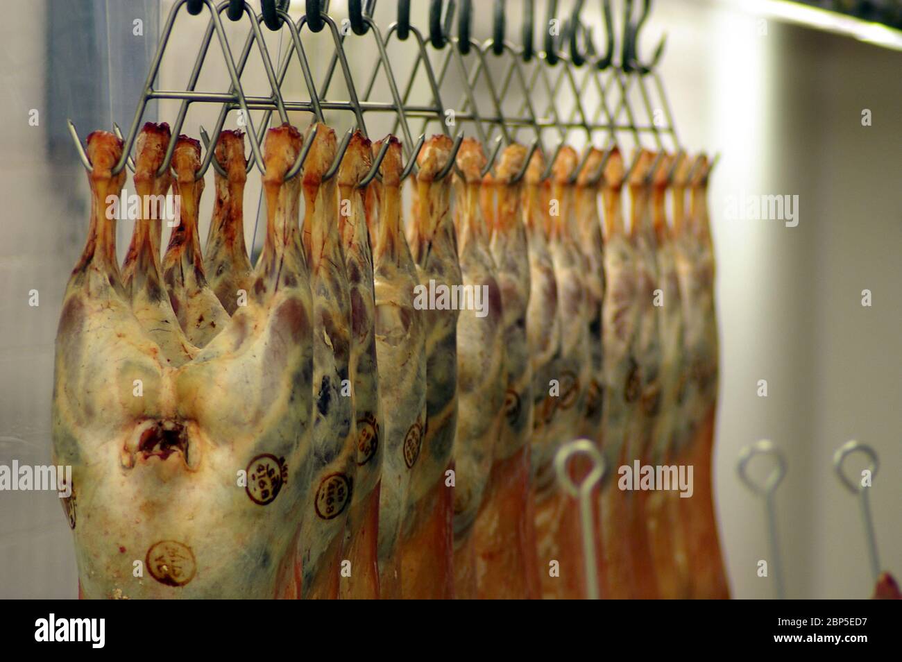 Meat hanging from hooks butcher hi-res stock photography and images - Alamy