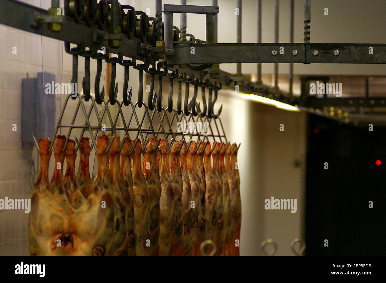 Lamb hanging from meat hooks at a wholesale butcher Stock Photo Alamy