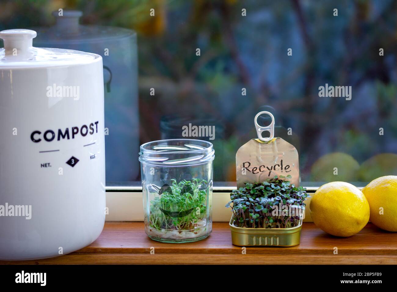 kitchen food waste compost container, jar and tin used to grow salad