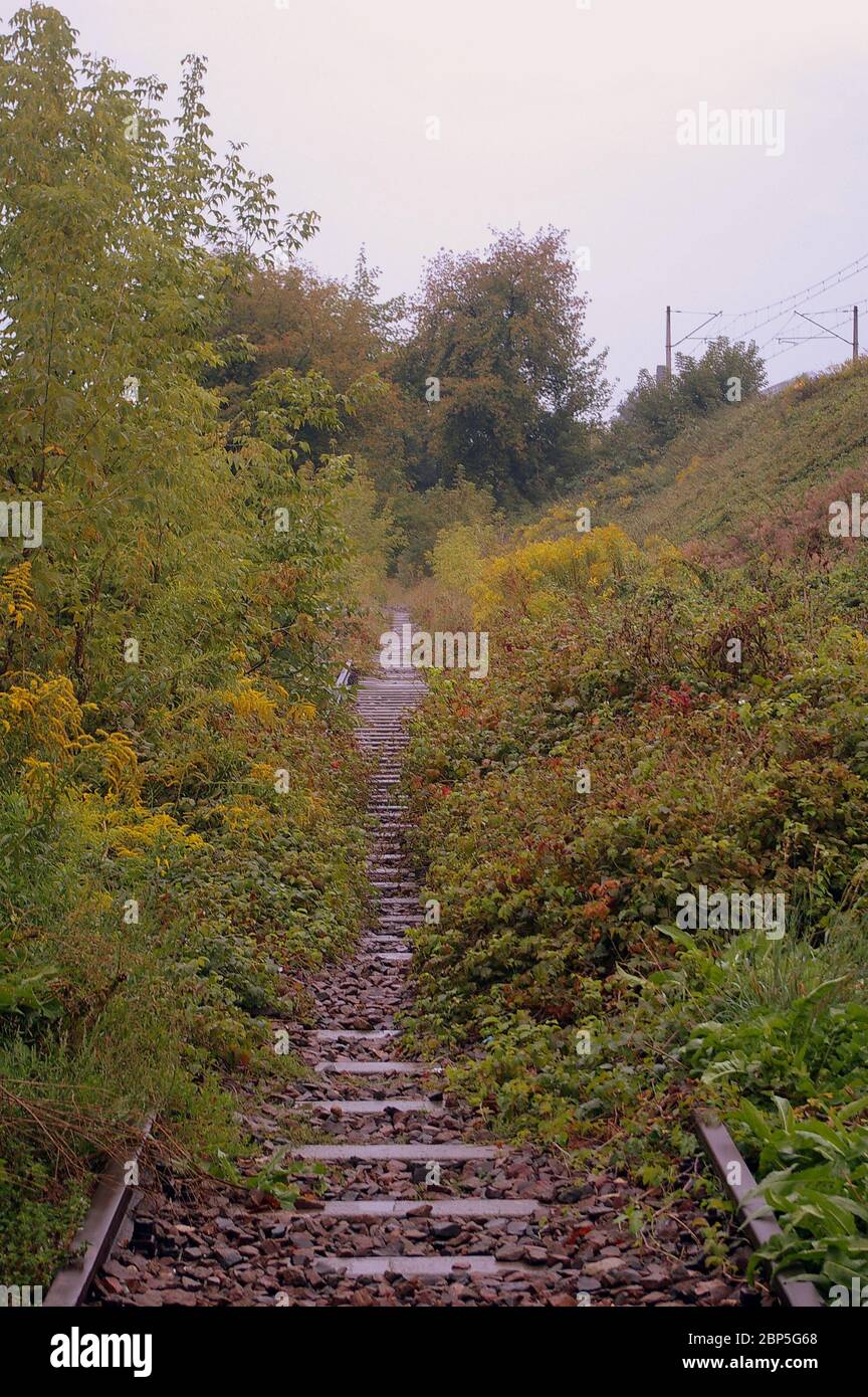 Abandoned railroad overgrown weeds hi-res stock photography and images ...