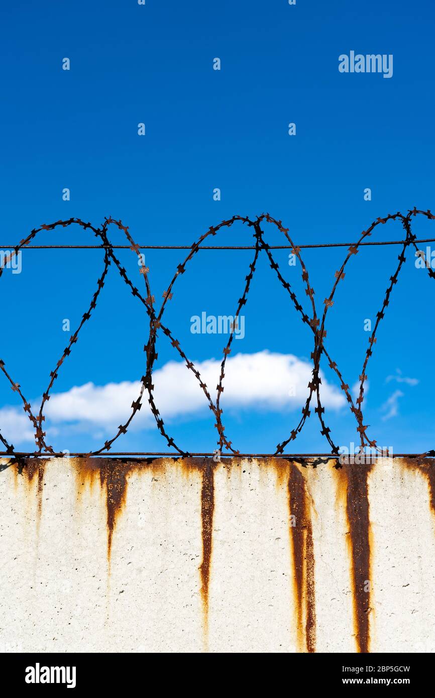 Barbed wire fence on a white wall with rust Stock Photo - Alamy