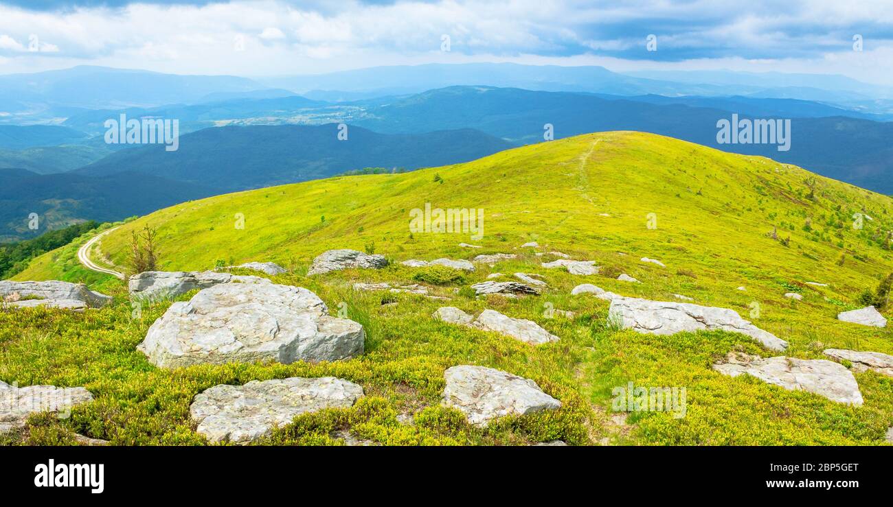 white rocks on the edge of alpine meadow. fresh green grassy slopes of mountain landscape in summer. distant ridges rolling in to the horizon. sunny w Stock Photo