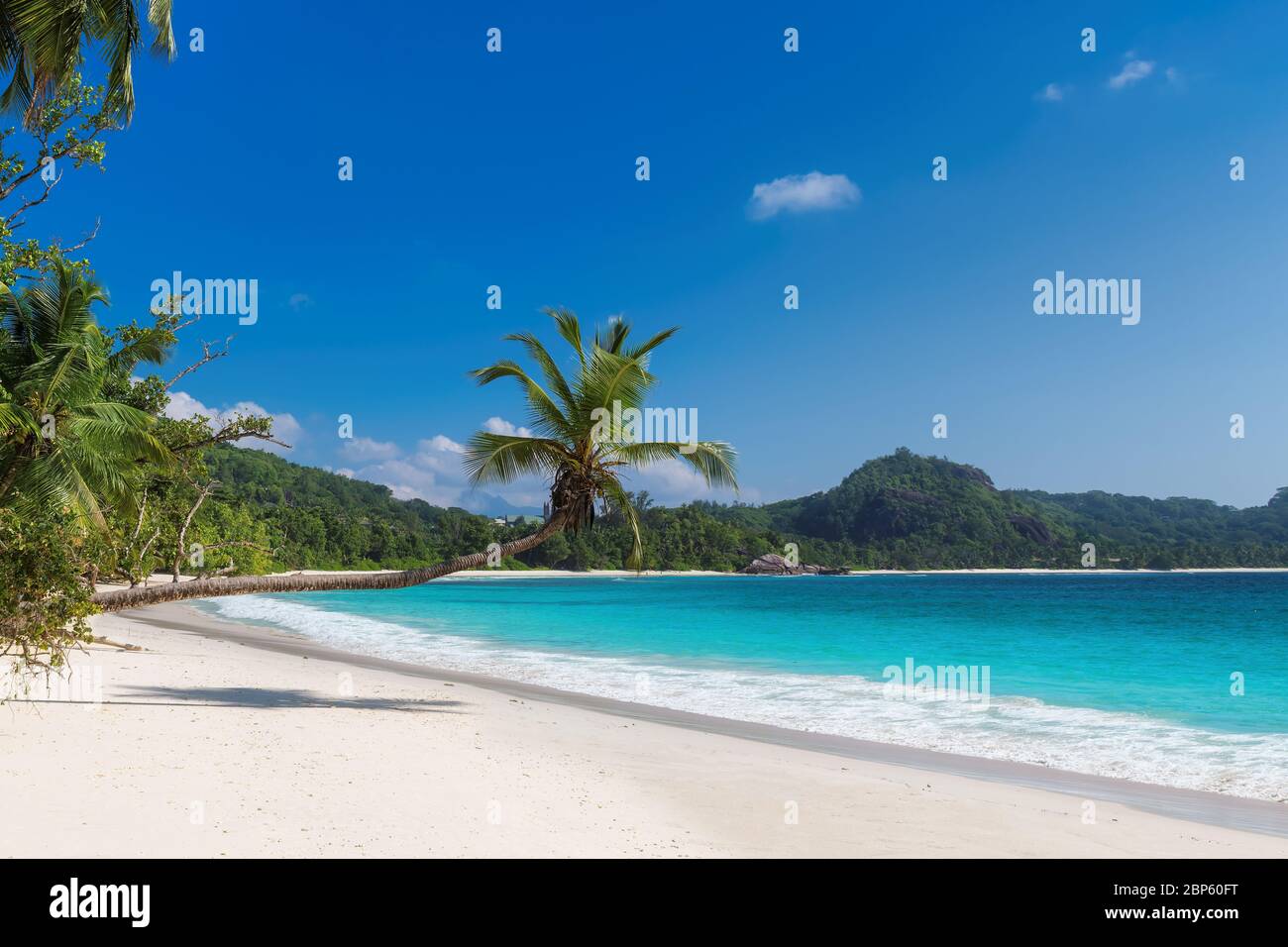 Tropical white sand beach with coco palms and the turquoise sea on Caribbean island. Stock Photo