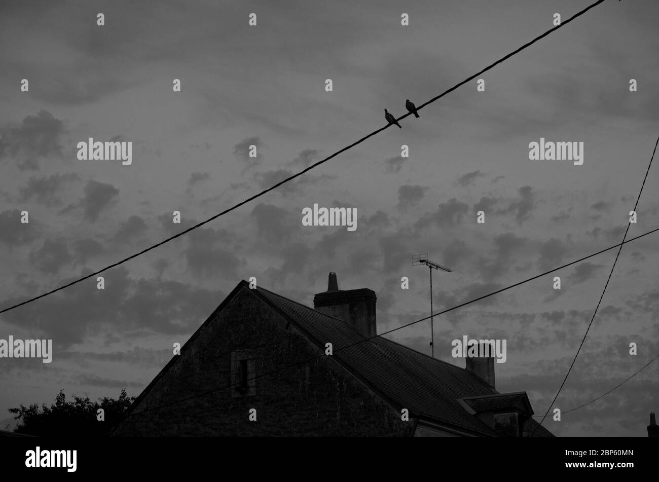 Two birds sitting on a telephone wire in a French village Stock Photo
