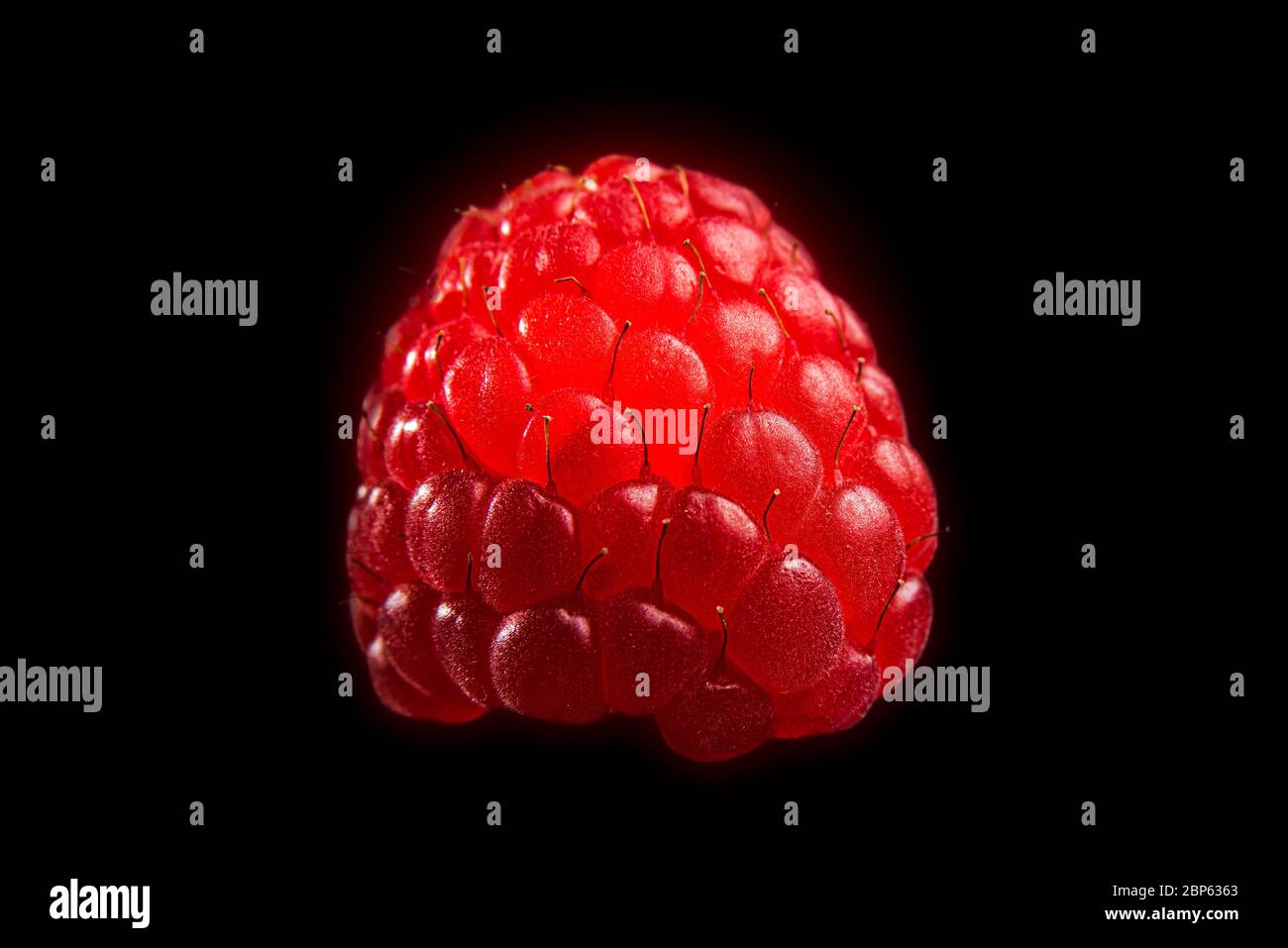 One fresh raspberry closeup on a black background isolated. Tip of ...