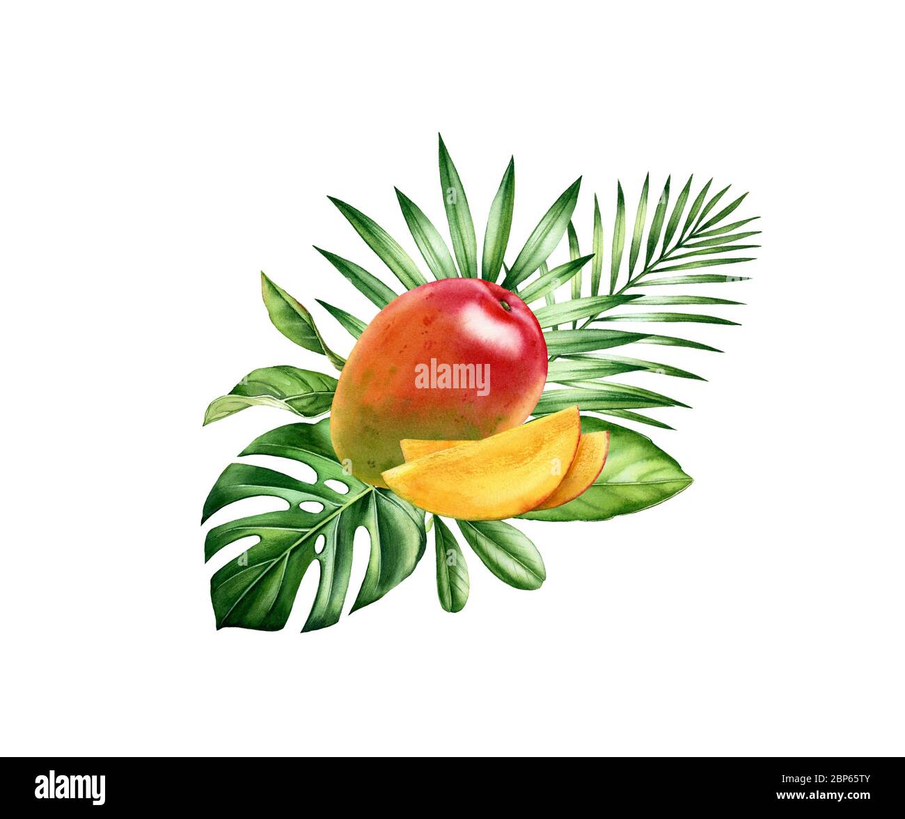 Watercolor mango fruits. Tropical sliced fruit with palm branches