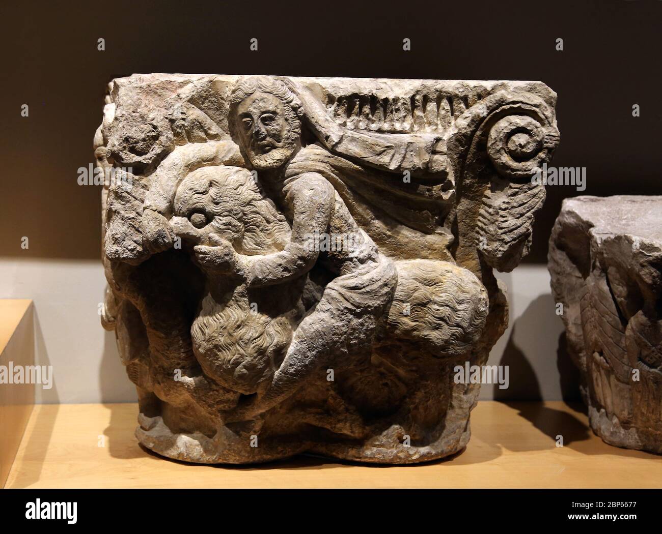 Romanesque capital with Samson. End of 12th century. Carved stone.  Villaherreros, Palencia.  Frederic Mares Museum, Barcelona, Spain. Stock Photo