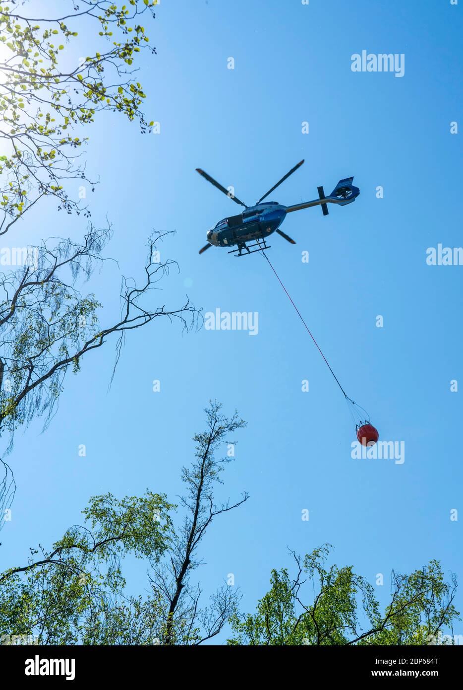 Forest fire in the German-Dutch border region near Niederkrüchten-Elmpt, in a nature reserve, deployment of fire-fighting helicopters, Airbus H145 , o Stock Photo